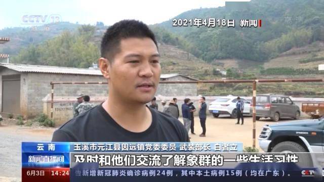 不擇手段,何來禮讓。懶理行為不高尚打一生肖全面释义、实证解答解释落实