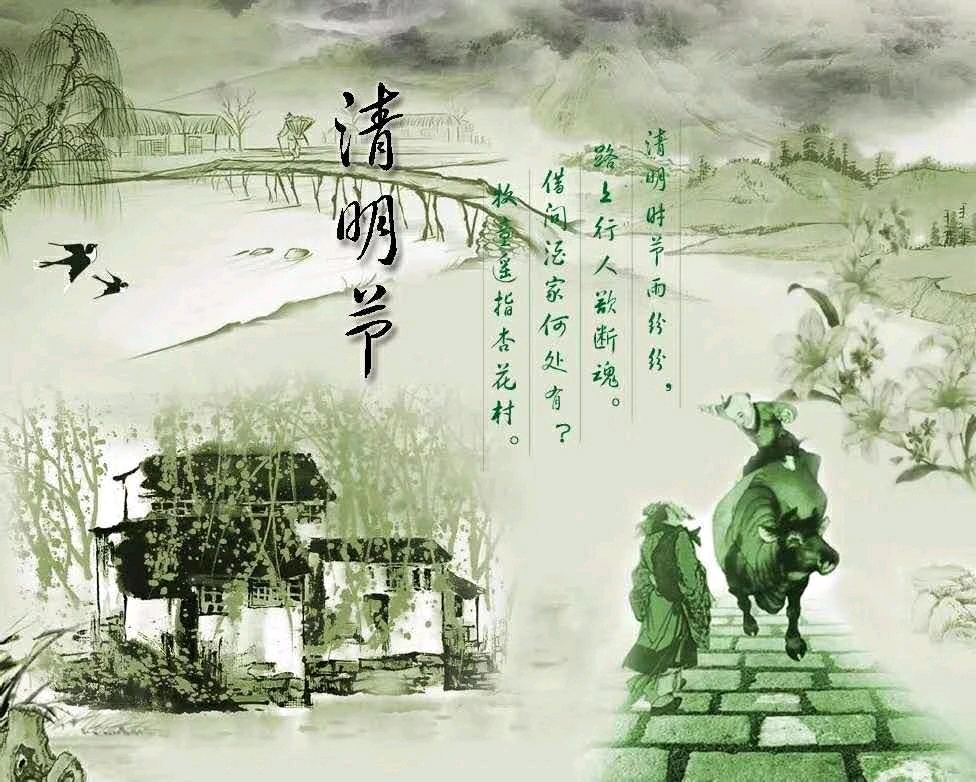 三衰六旺皆前定,头戴凤冠游四方,是什么动物生肖详细解答、前沿解答解释落实